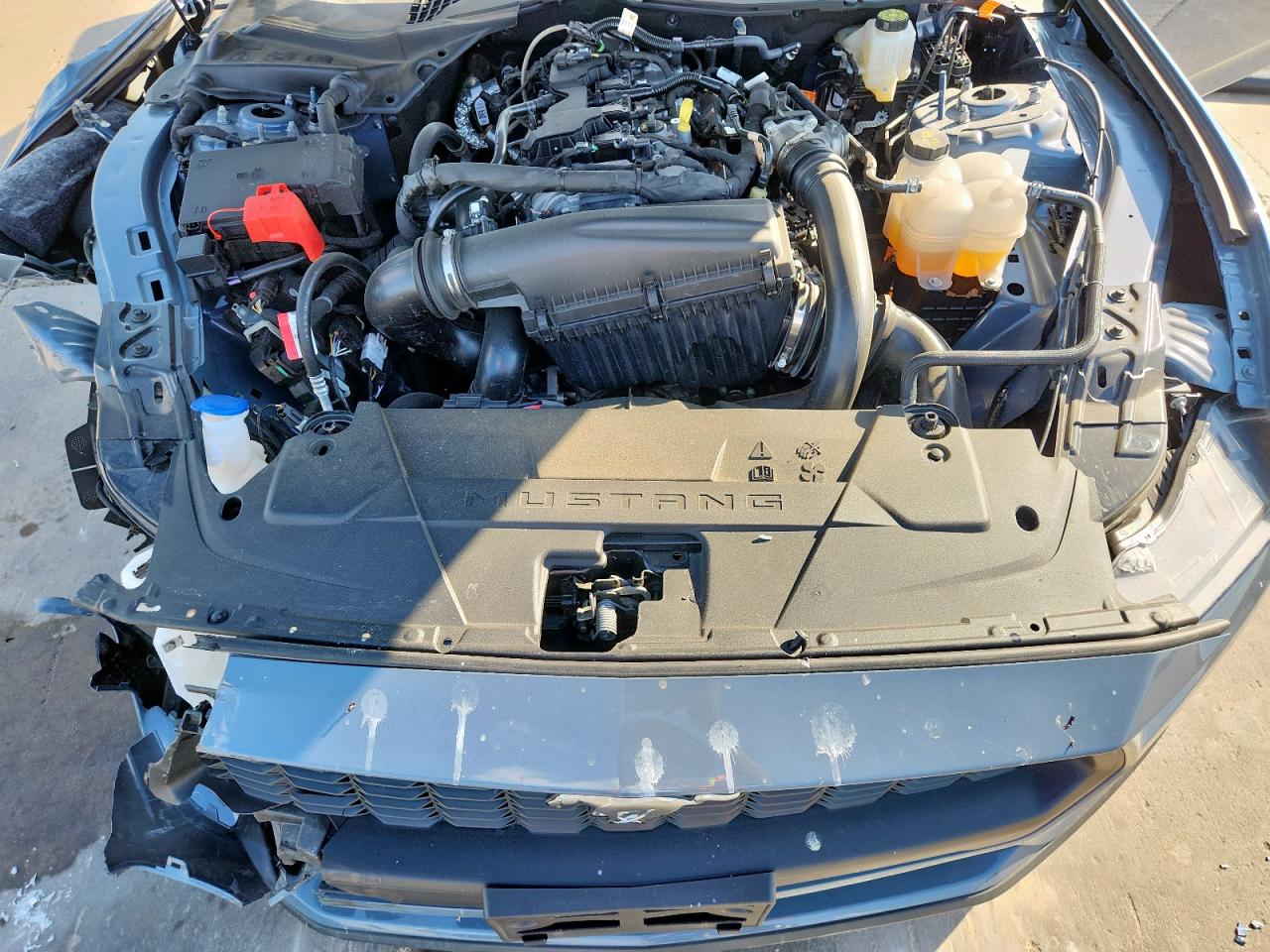 2025 Ford Mustang VIN: 1FA6P8TH8S5119013 Lot: 85651965