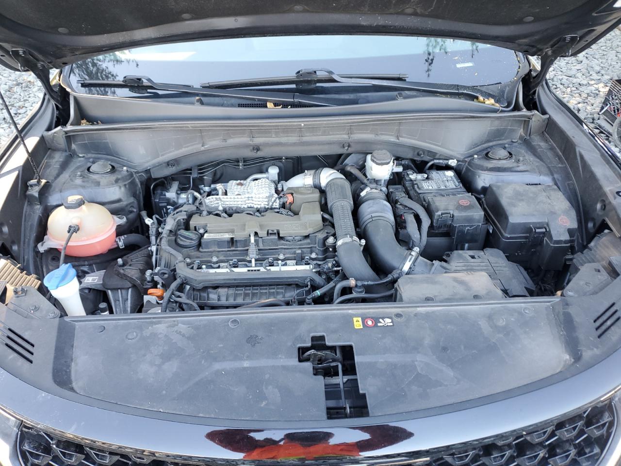 2021 Kia Sorento Sx VIN: 5XYRKDLF3MG023359 Lot: 82281805