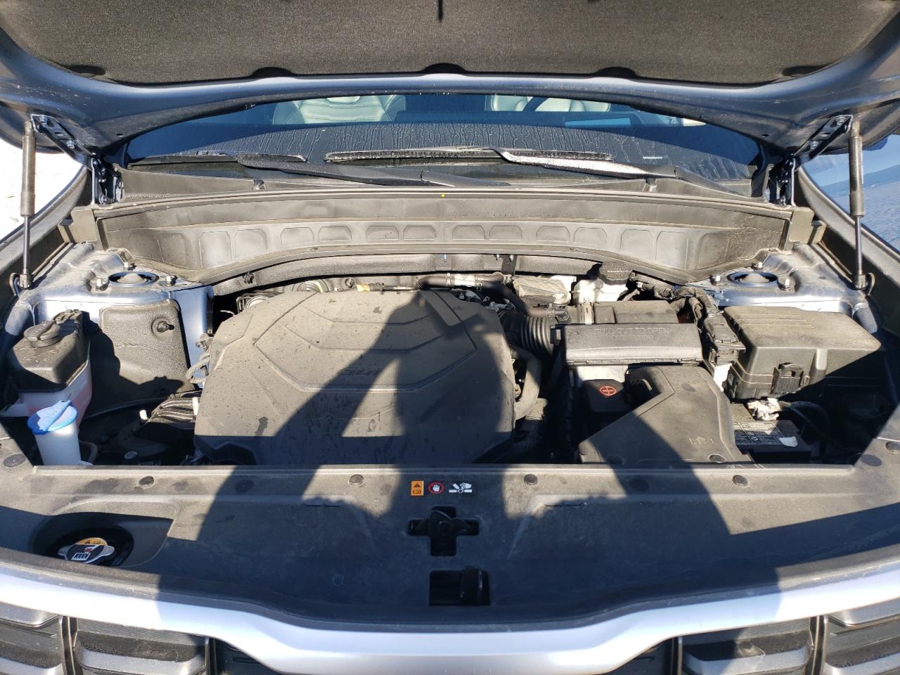 2024 Kia Telluride Sx VIN: 5XYP5DGC8RG429773 Lot: 84792215