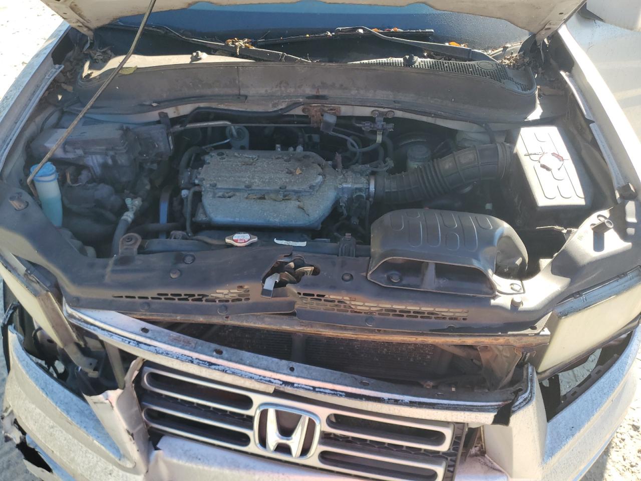 2007 Honda Ridgeline Rtl VIN: 2HJYK16517H500644 Lot: 81966785