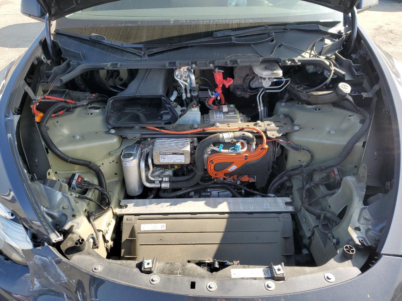 2023 Tesla Model Y VIN: 7SAYGDEE1PA114756 Lot: 89932215