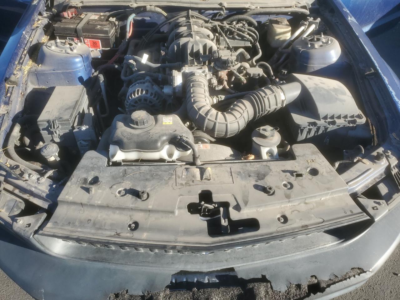 2007 Ford Mustang VIN: 1ZVFT80N875311066 Lot: 82474805