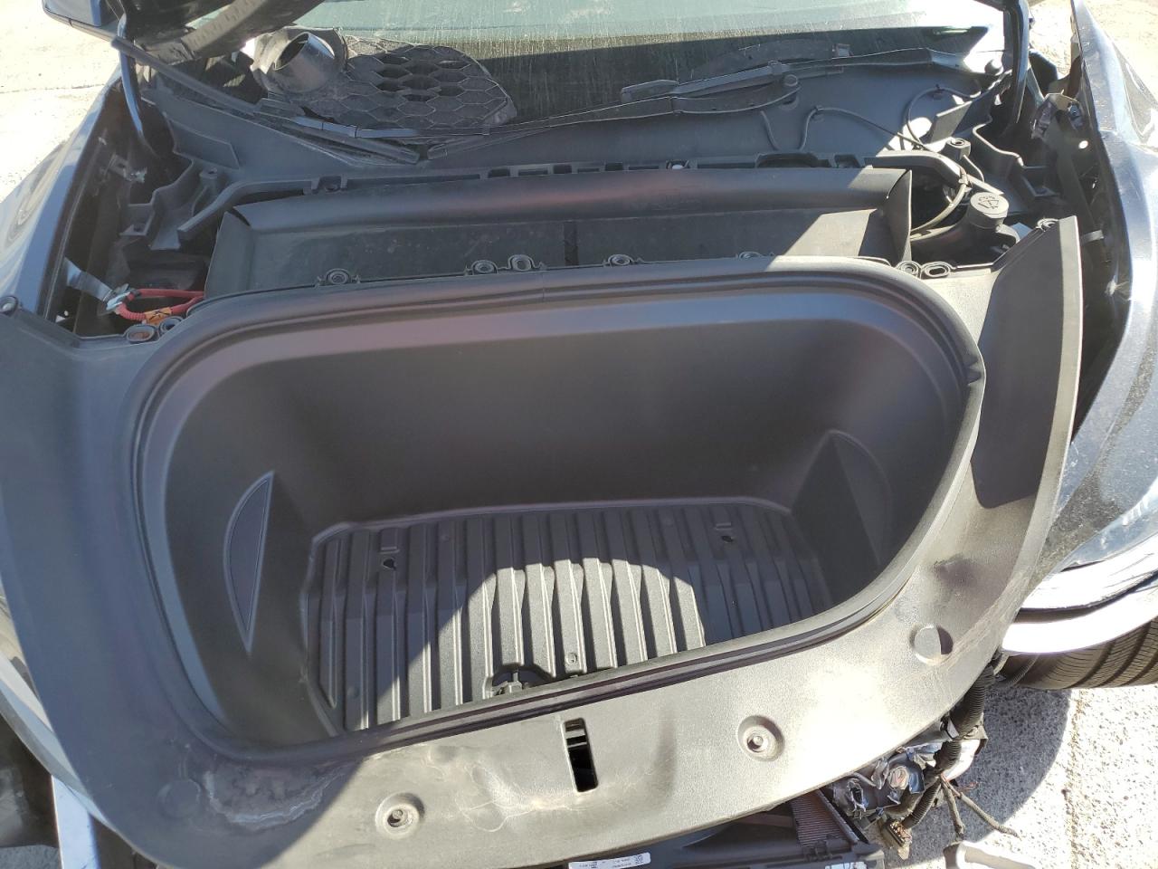 2024 Tesla Model Y VIN: 7SAYGDEFXRF127181 Lot: 86166135