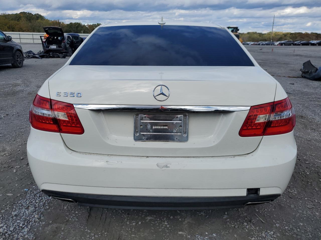2010 Mercedes-Benz E 350 VIN: WDDHF5GB7AA166796 Lot: 90557765