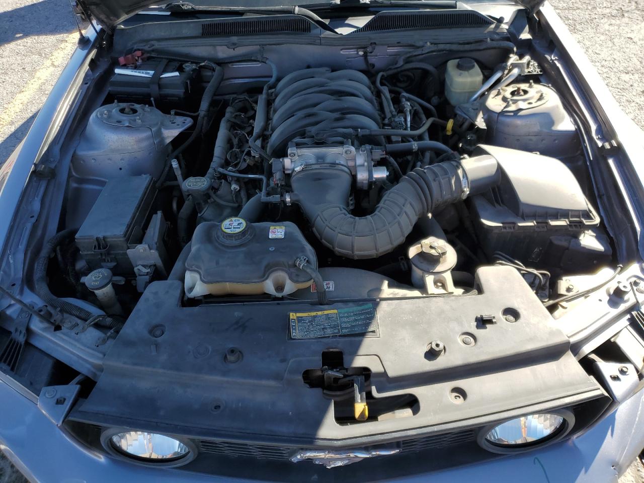 2006 Ford Mustang Gt VIN: 1ZVFT82H465153069 Lot: 85731755