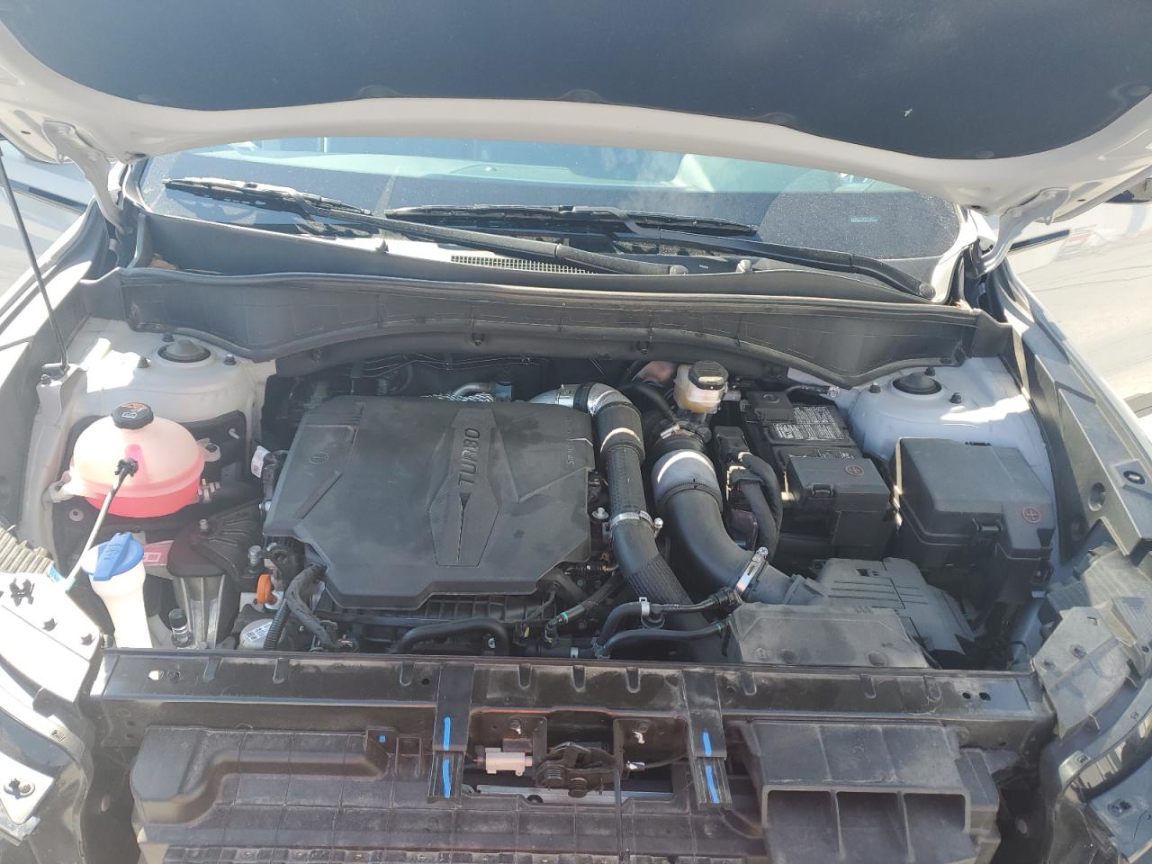 2023 Kia Sorento Sx VIN: 5XYRKDLF6PG171851 Lot: 86260985