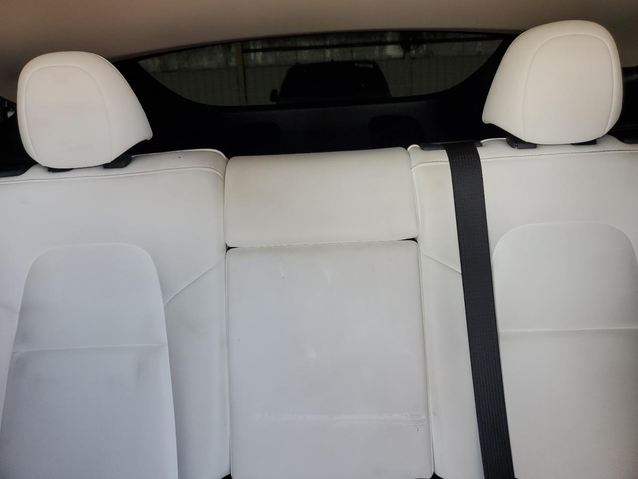 2023 Tesla Model Y VIN: 7SAYGDEE3PA122650 Lot: 82781995