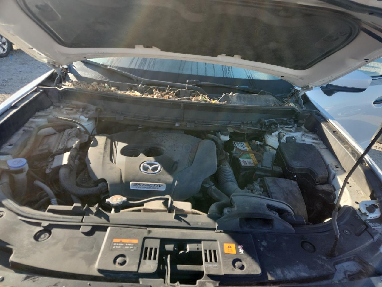 2019 Mazda Cx-9 Touring VIN: JM3TCBCY6K0322007 Lot: 90624955