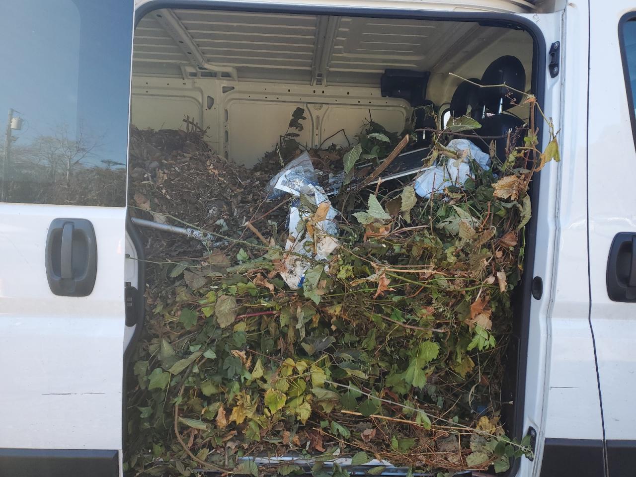 2023 Ram Promaster 1500 1500 Standard VIN: 3C6LRVAG2PE516865 Lot: 89899675