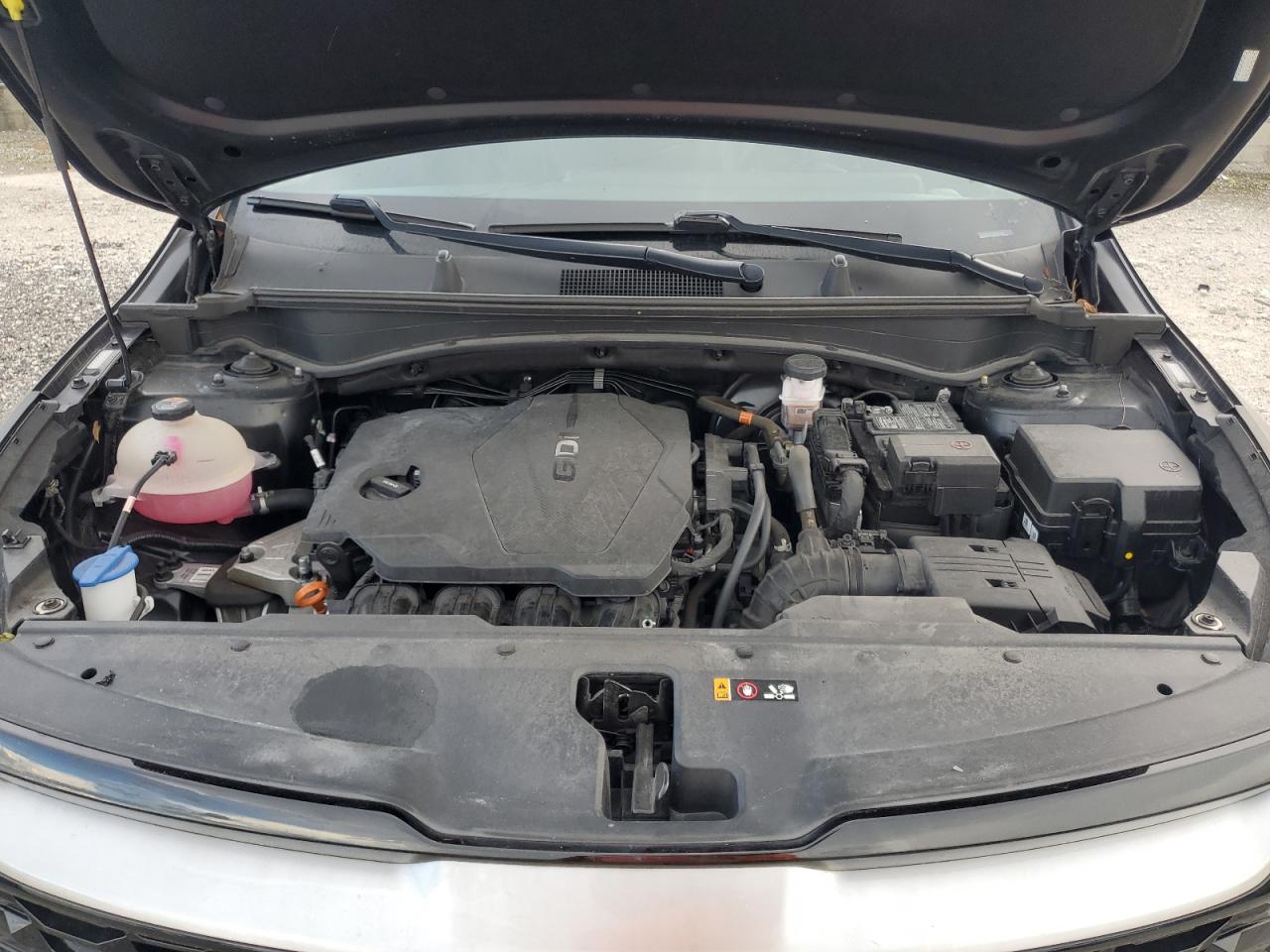 2023 Kia Sportage Ex VIN: 5XYK33AF1PG086086 Lot: 85493255