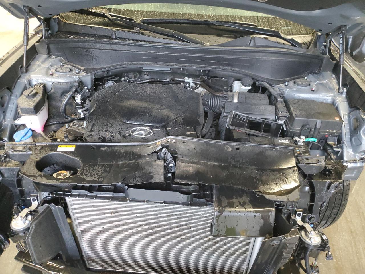 2025 Hyundai Palisade Sel VIN: KM8R24GE8SU899689 Lot: 85363305