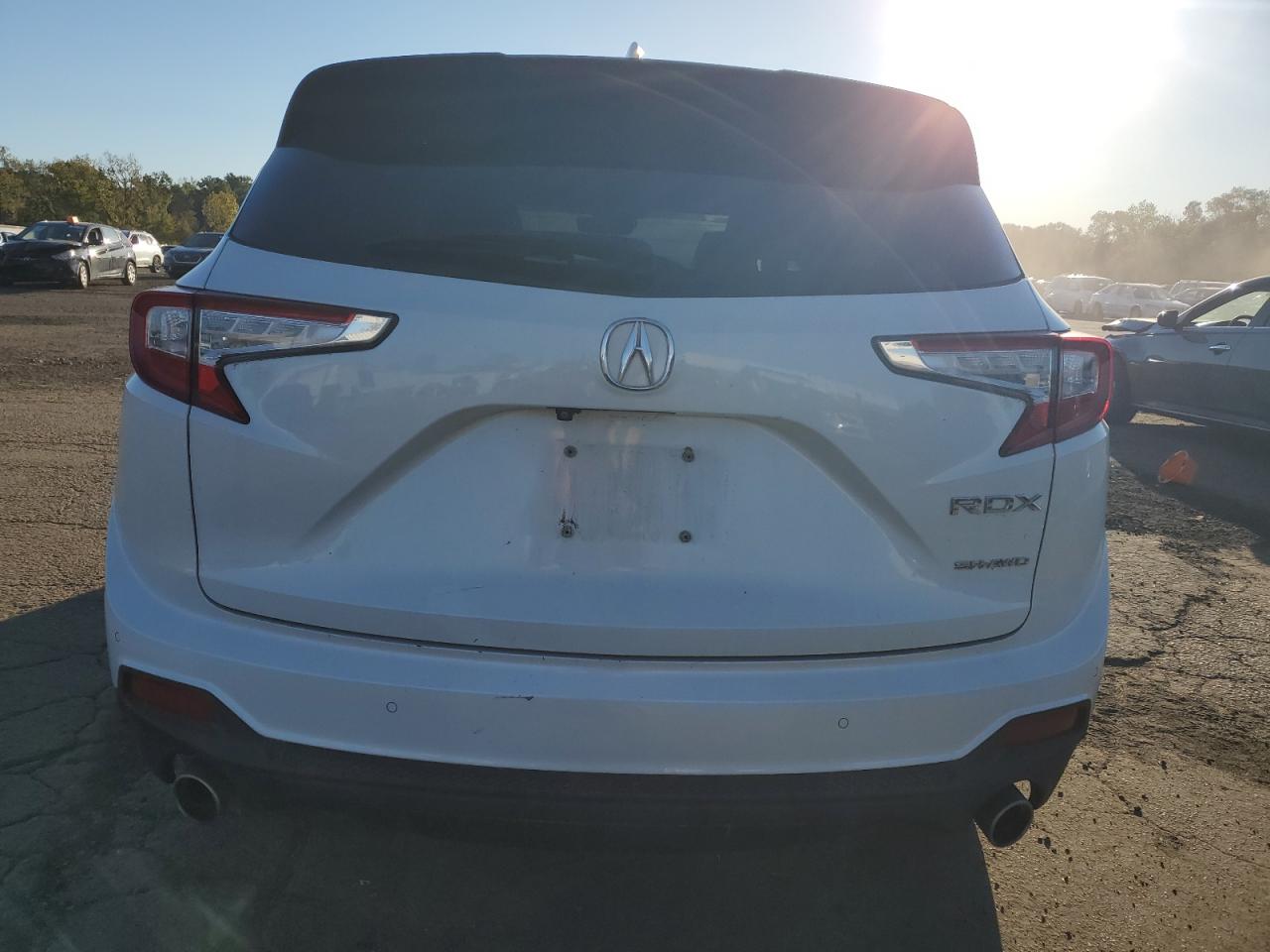 2020 Acura Rdx Advance VIN: 5J8TC2H7XLL014770 Lot: 81894945