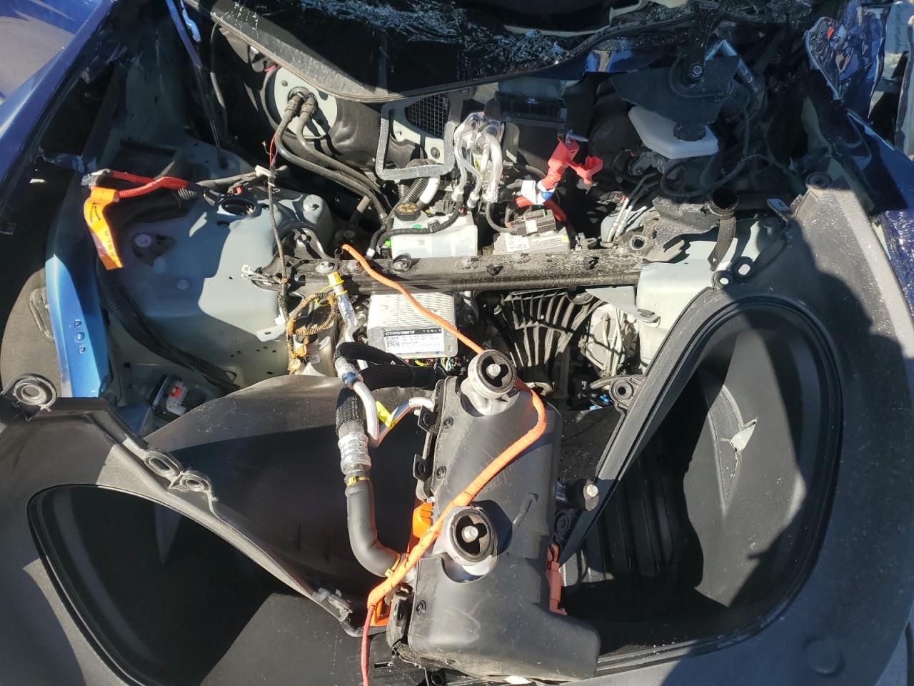 2024 Tesla Model Y VIN: 7SAYGDEF5RA288339 Lot: 89541565