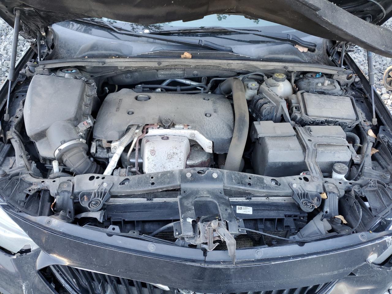 2018 Buick Regal Tourx Essence VIN: W04GV8SX7J1116259 Lot: 81977415