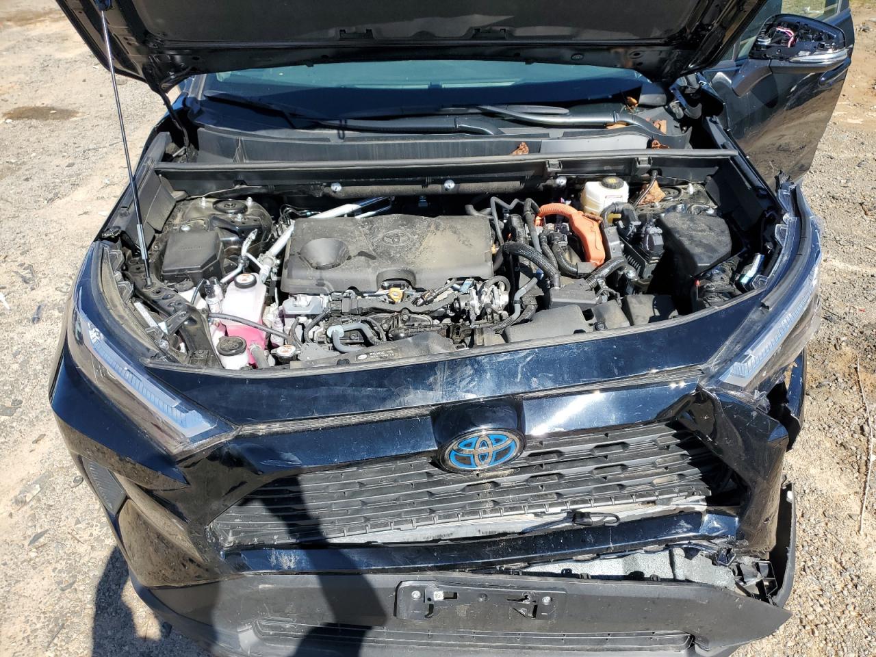 2024 Toyota Rav4 Xle VIN: 4T3RWRFVXRU158948 Lot: 85111625