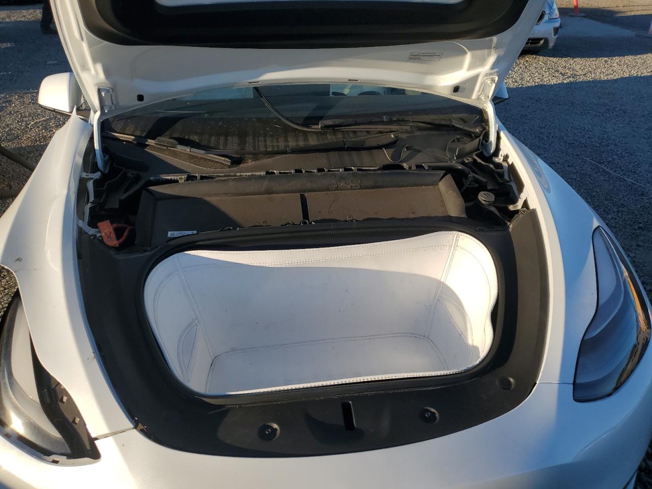 2023 Tesla Model Y VIN: 7SAYGDEF4PF964926 Lot: 84703235