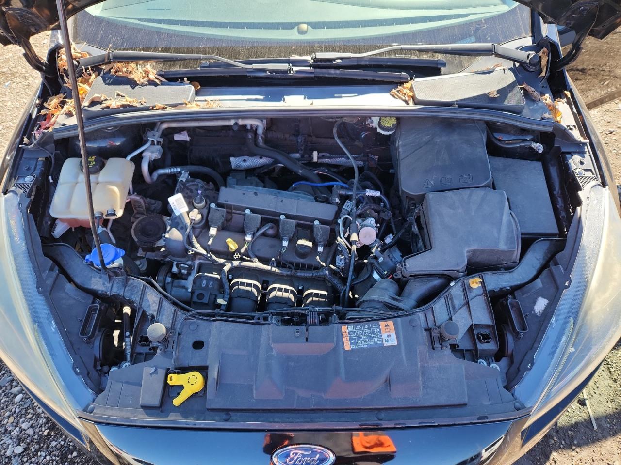 2016 Ford Focus Se VIN: 1FADP3F2XGL391261 Lot: 85517505