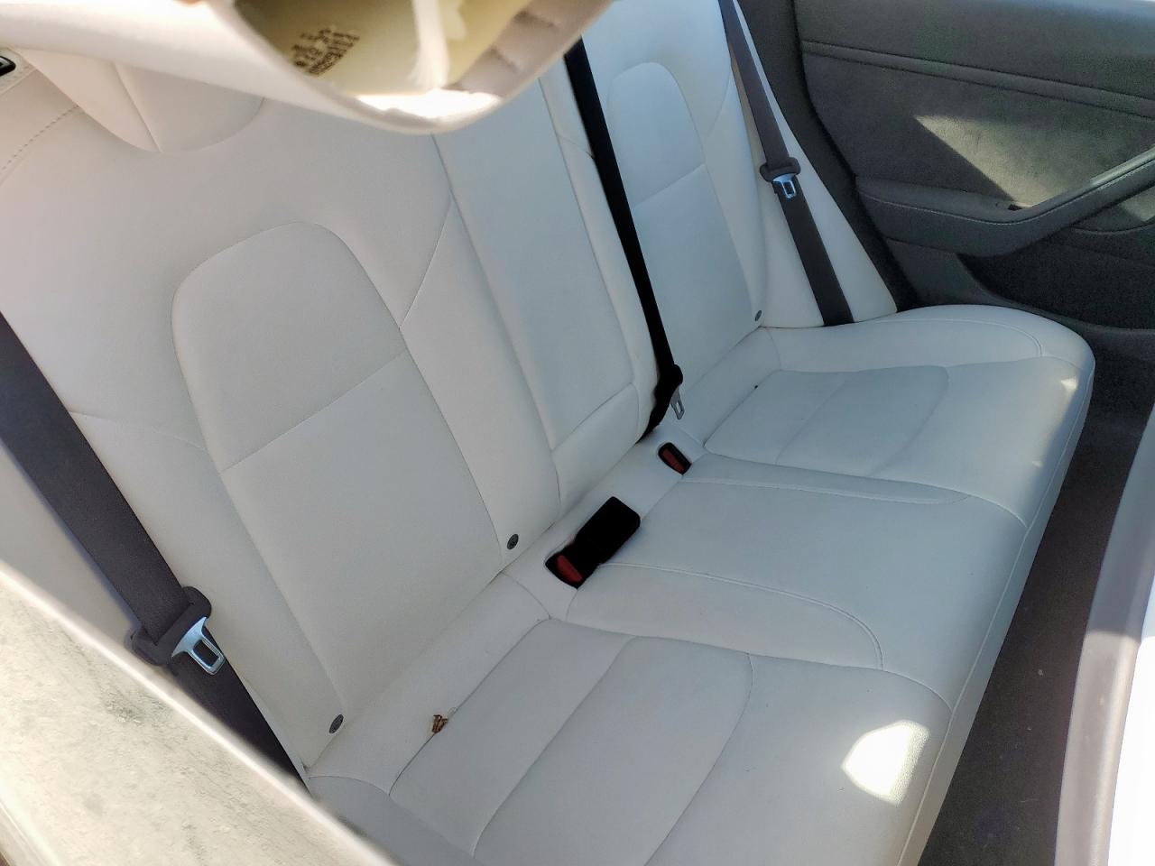 2023 Tesla Model 3 VIN: 5YJ3E1EA8PF551620 Lot: 82213755