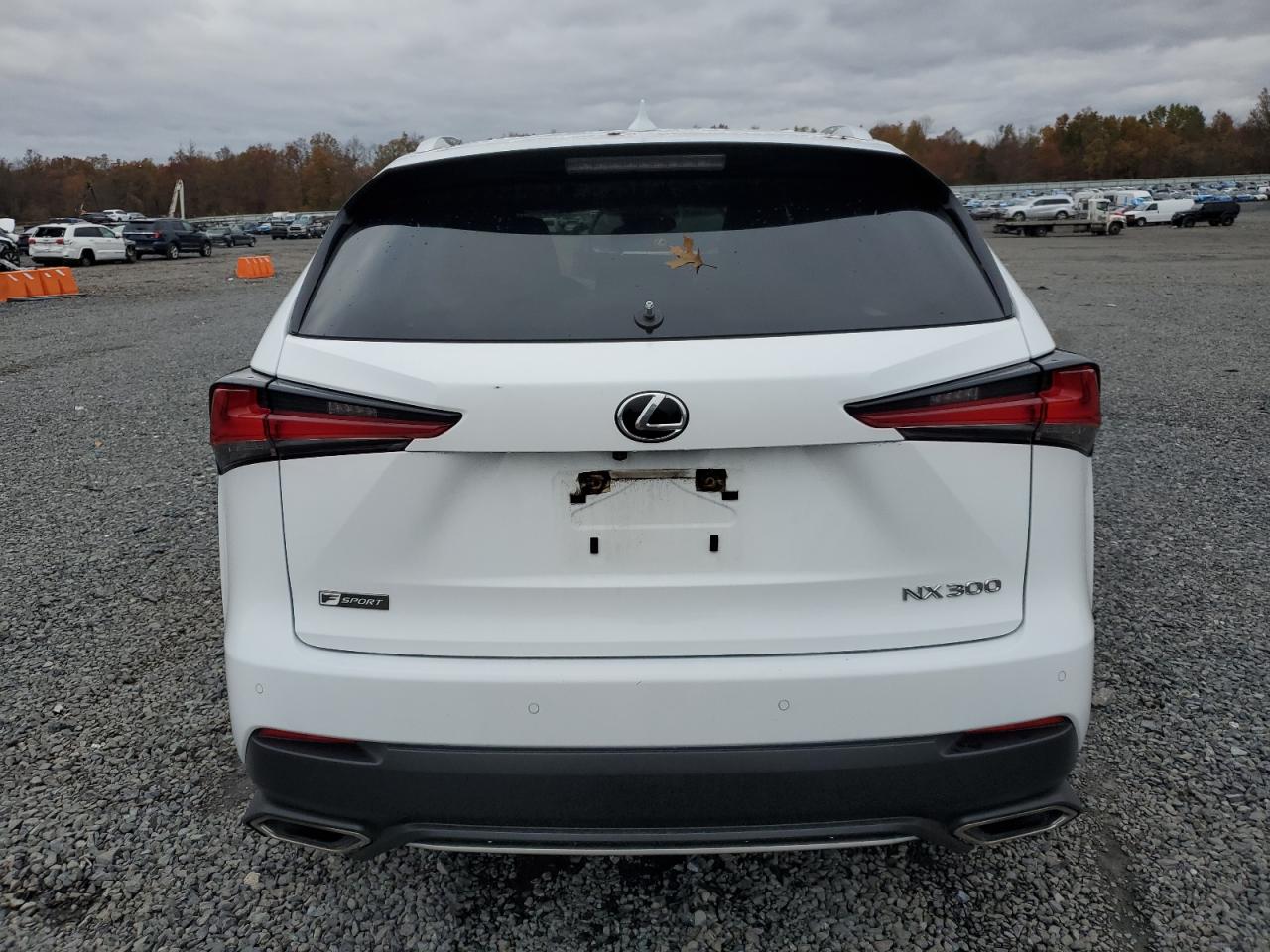 2020 Lexus Nx 300 F Sport VIN: JTJSARDZ3L5018628 Lot: 90895905