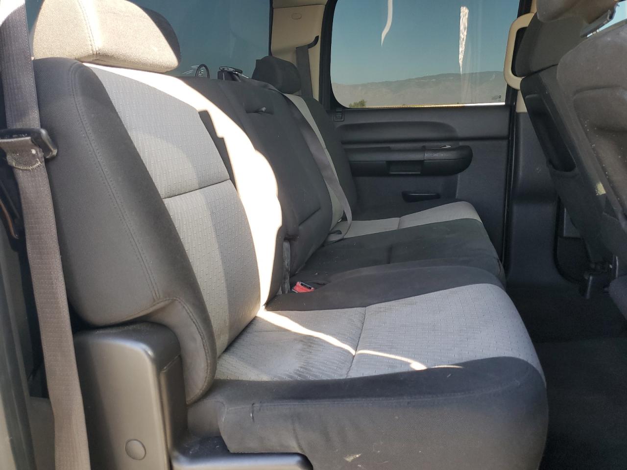 2009 Chevrolet Silverado C1500 VIN: 3GCEC13C99G217404 Lot: 82282295