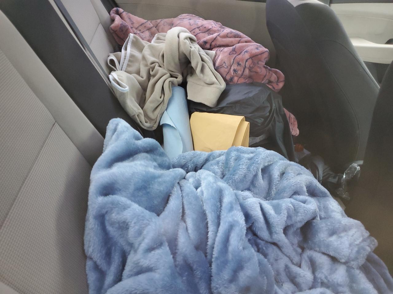 2020 Hyundai Accent Se VIN: 3KPC24A60LE123925 Lot: 85341665