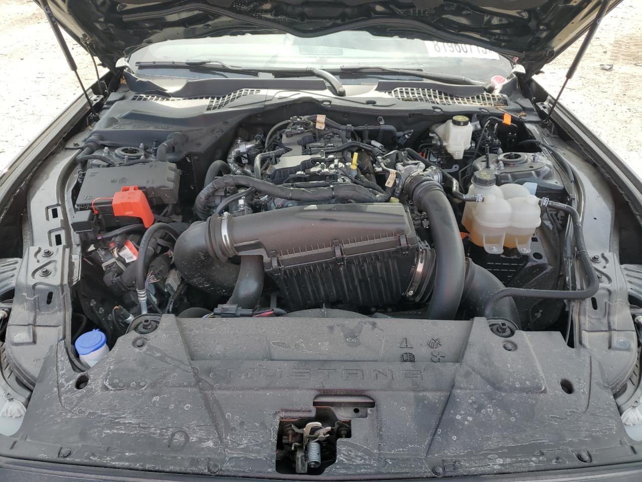 2024 Ford Mustang VIN: 1FA6P8TH4R5121898 Lot: 81960715