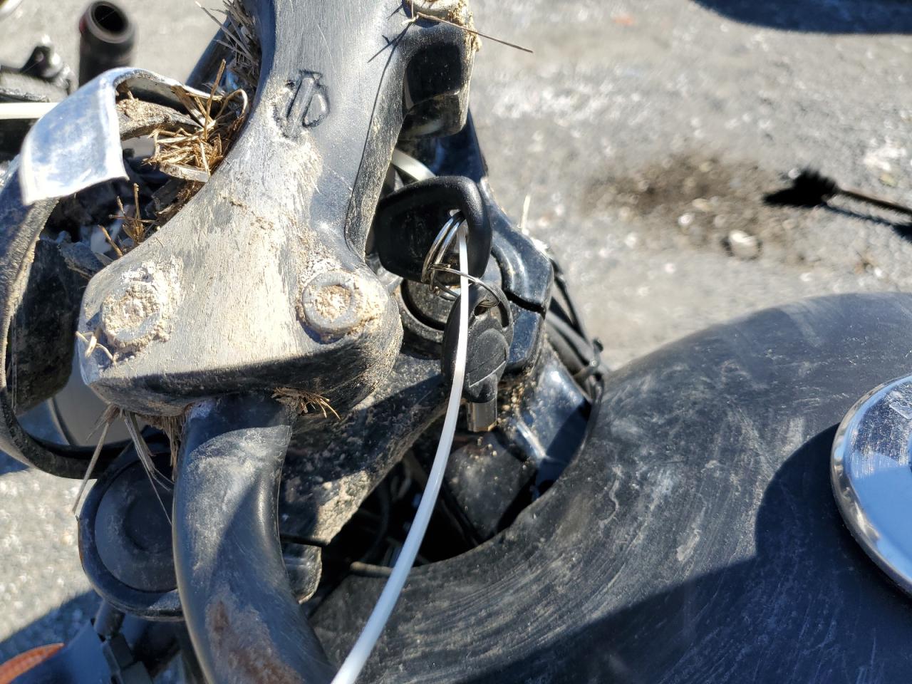 2015 Harley-Davidson Xg750 VIN: 1HD4NBB1XFC511001 Lot: 87388755