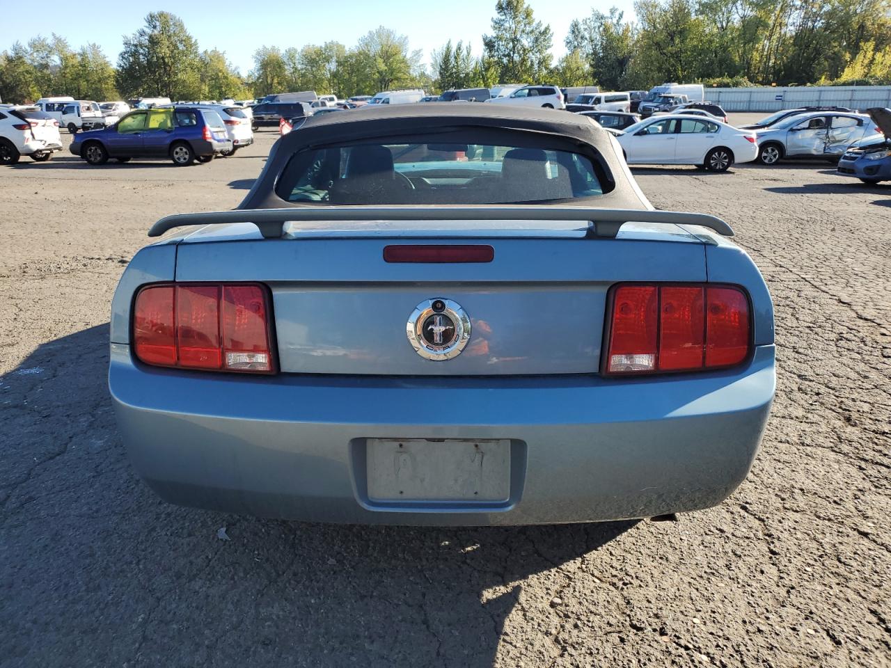 2006 Ford Mustang VIN: 1ZVFT84N765114799 Lot: 82253375