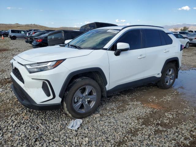 TOYOTA RAV4 XLE 2024