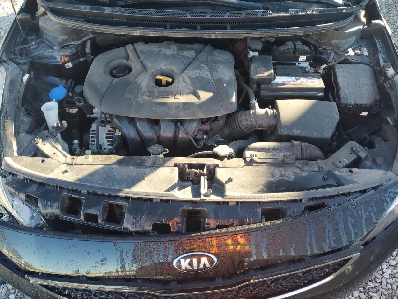 2017 Kia Forte Lx VIN: KNAFK5A83H5719261 Lot: 86159175