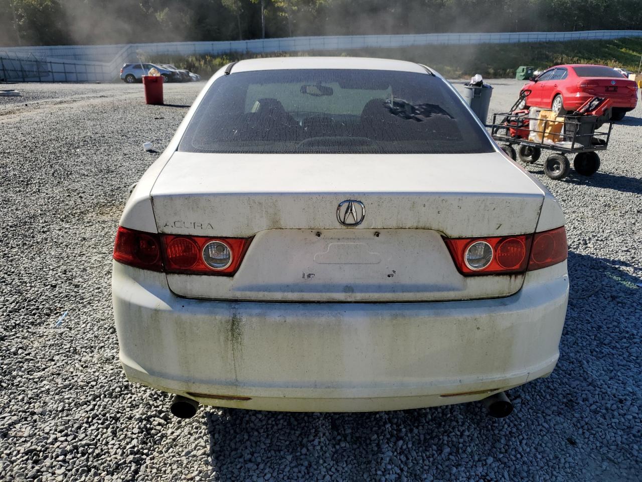 2004 Acura Tsx VIN: JH4CL96834C040551 Lot: 86824755