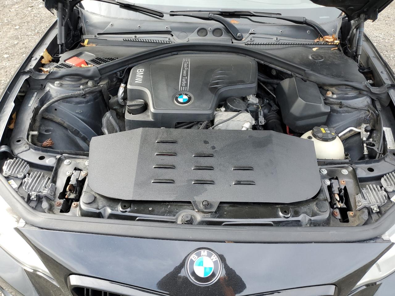 2015 BMW 228 Xi VIN: WBA1F7C57FVX96175 Lot: 82778195