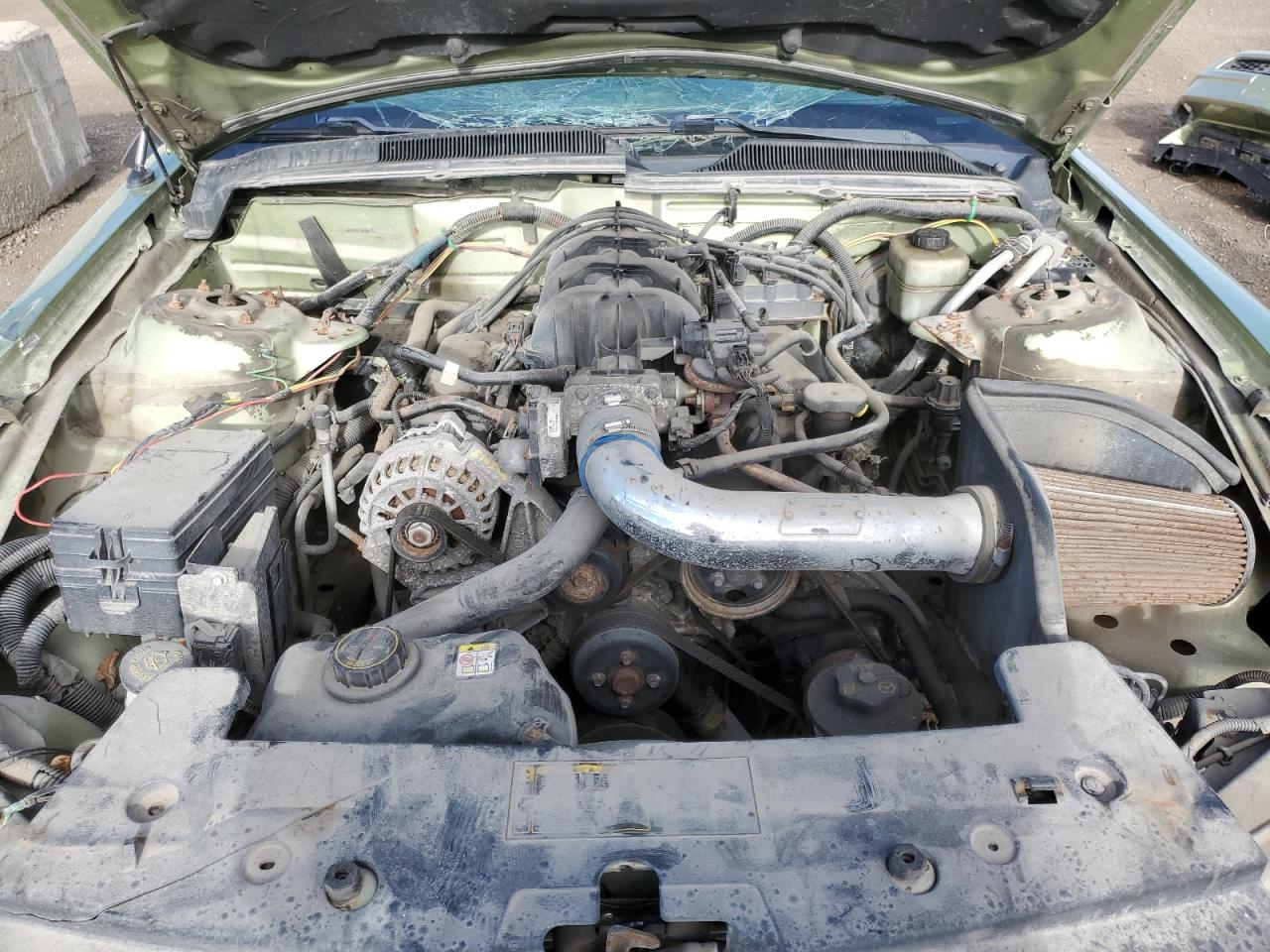 2006 Ford Mustang VIN: 1ZVFT80N665177964 Lot: 54864275