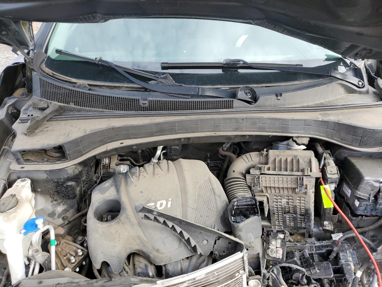 2014 Kia Sorento Lx VIN: 5XYKT3A62EG436659 Lot: 86297435