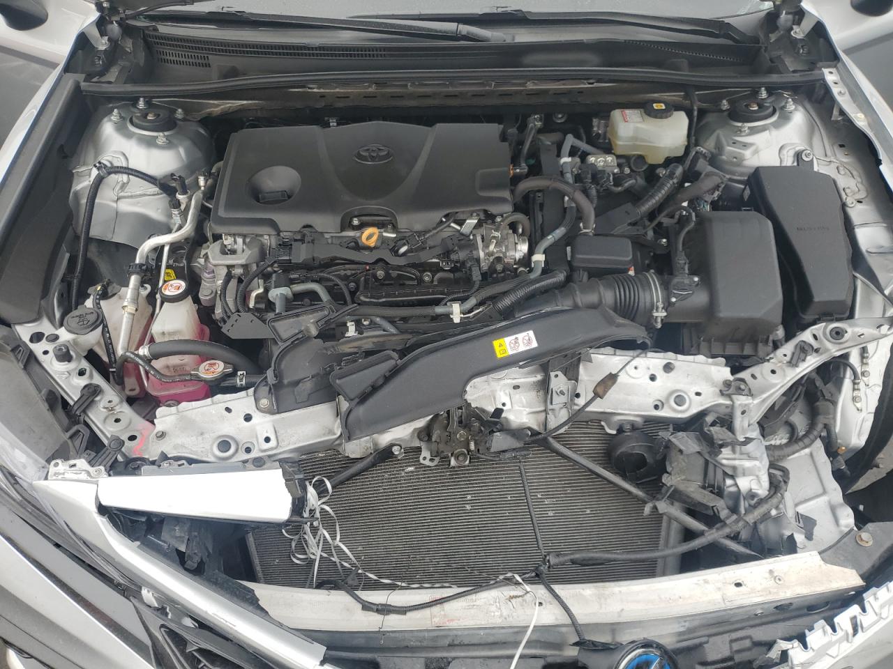 2022 Toyota Camry Xse VIN: 4T1K31AK5NU036669 Lot: 81767475