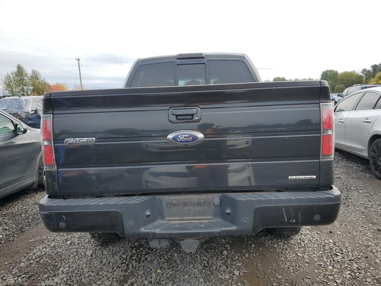 2013 Ford F150 Supercrew VIN: 1FTFW1EF3DKF96212 Lot: 89545965