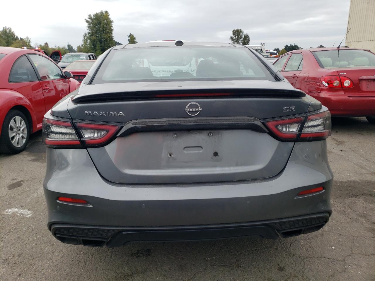 2023 Nissan Maxima Sr VIN: 1N4AA6EV6PC506892 Lot: 84937765
