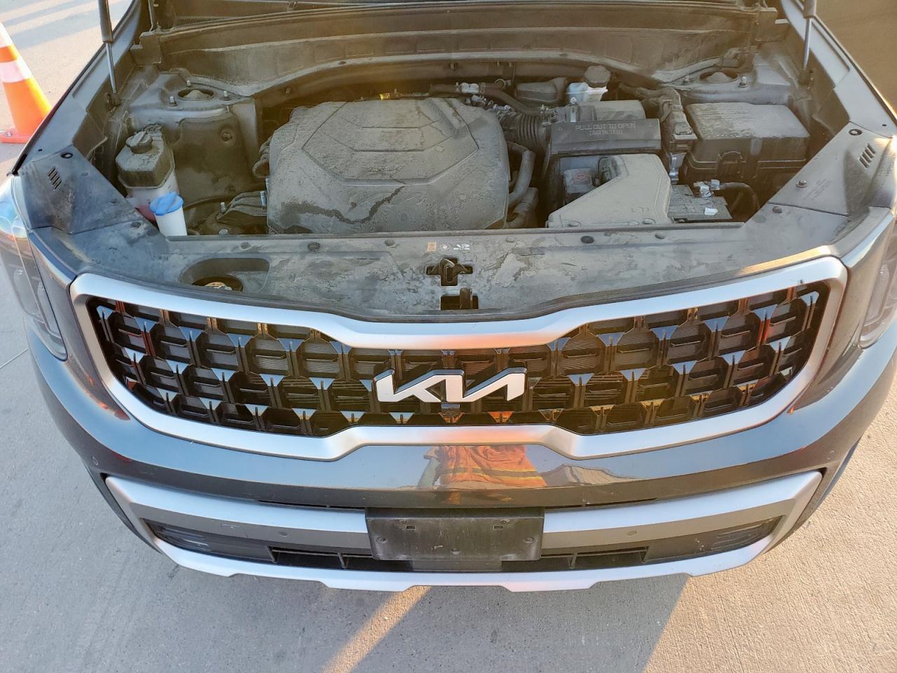 2023 Kia Telluride Sx VIN: 5XYP5DGC5PG406240 Lot: 84829225