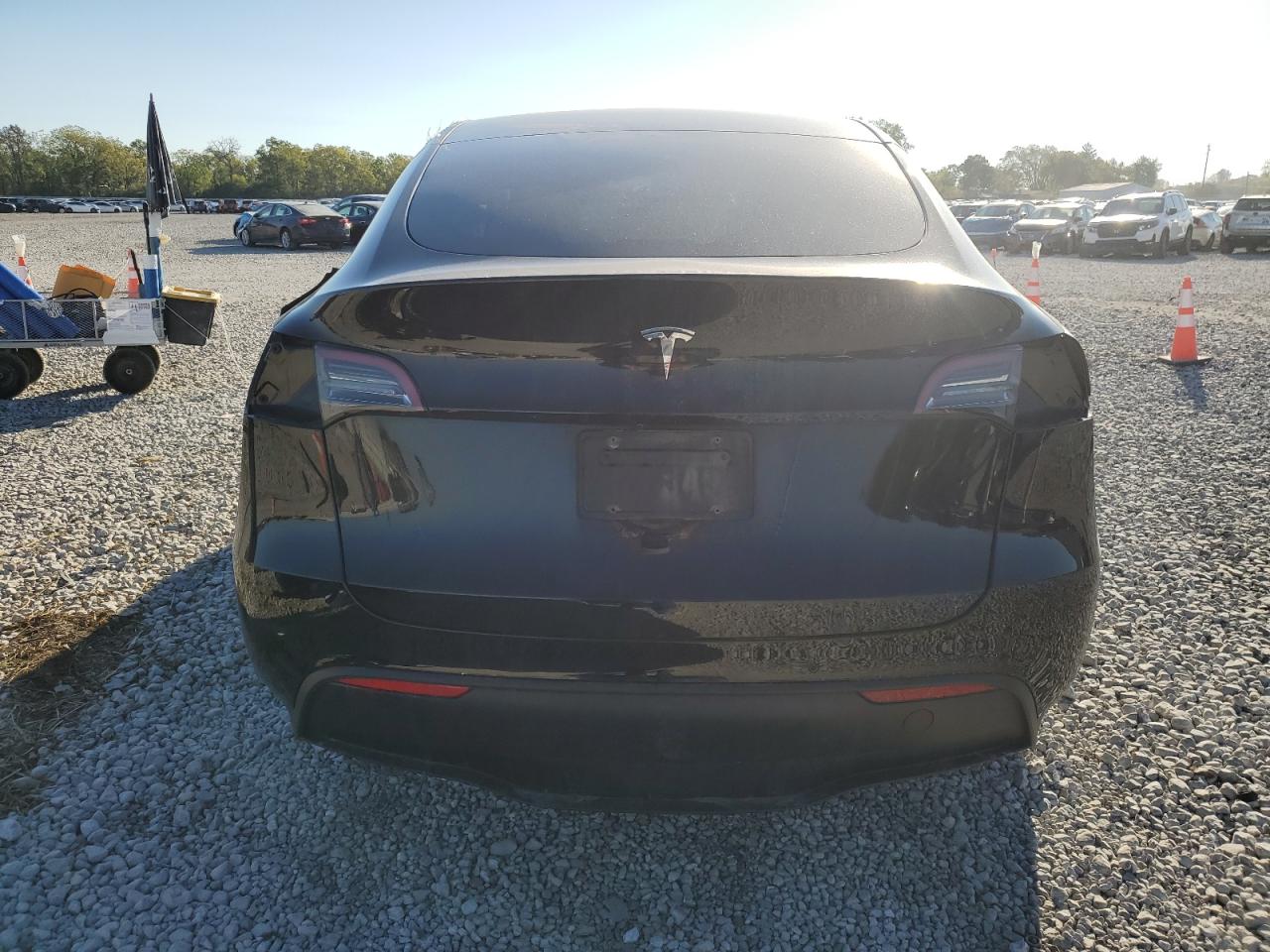 2022 Tesla Model Y VIN: 7SAYGDEE2NF309619 Lot: 81777025