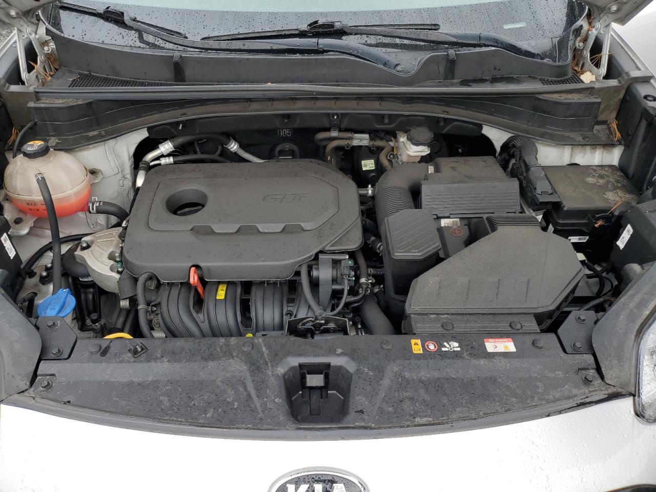 2021 Kia Sportage Ex VIN: KNDPNCAC9M7889372 Lot: 82324945