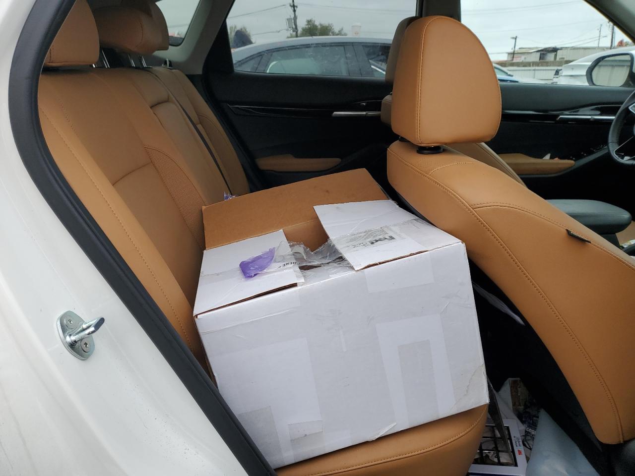 2024 Kia Seltos Ex VIN: KNDERCAA6R7641694 Lot: 85879615