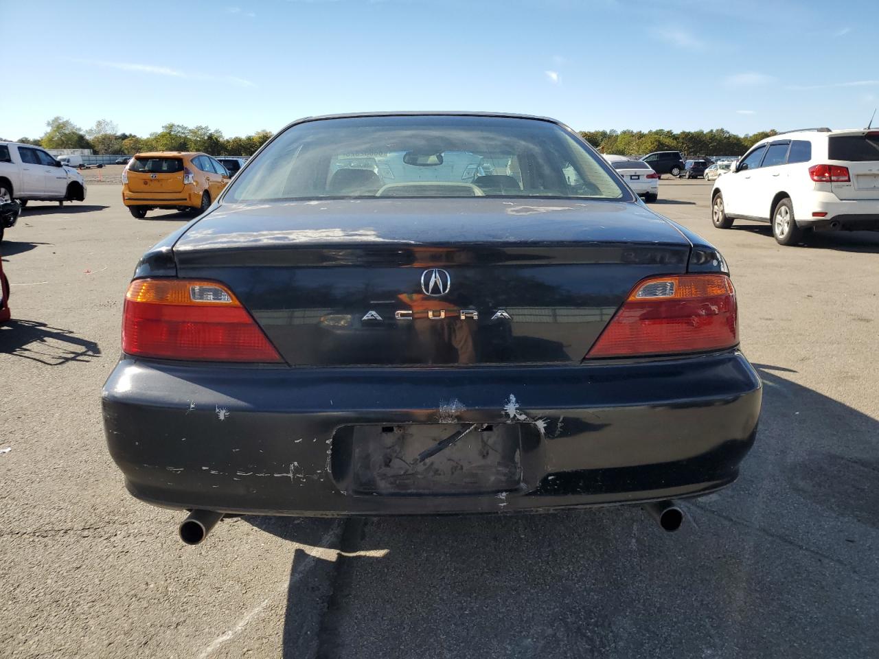 2001 Acura 3.2Tl VIN: 19UUA56651A006560 Lot: 86832325