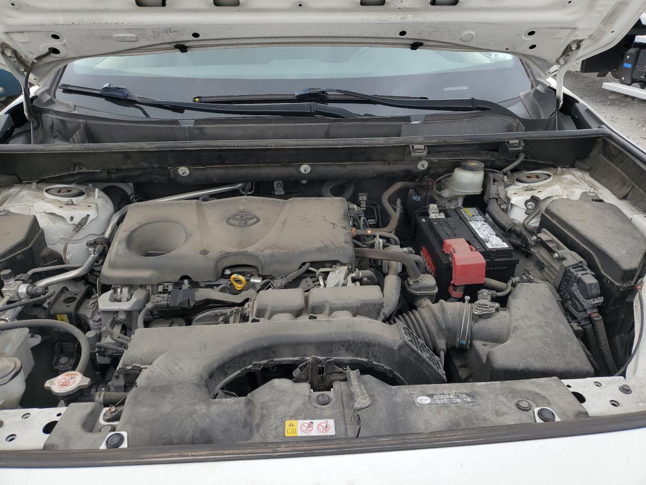 2019 Toyota Rav4 Xle VIN: JTMP1RFV0KD039492 Lot: 82231295