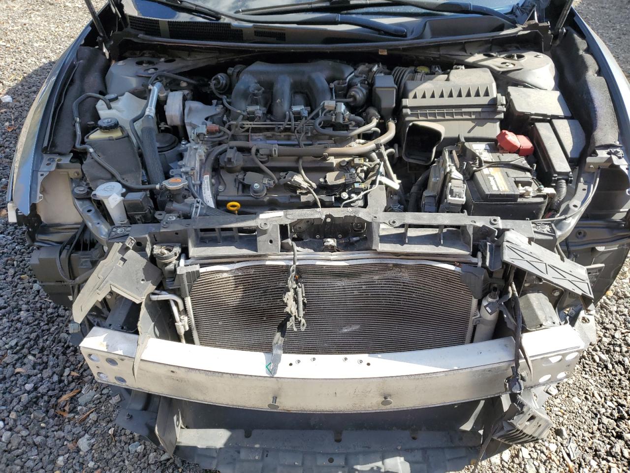 2020 Nissan Maxima Sl VIN: 1N4AA6DV7LC373250 Lot: 89532435