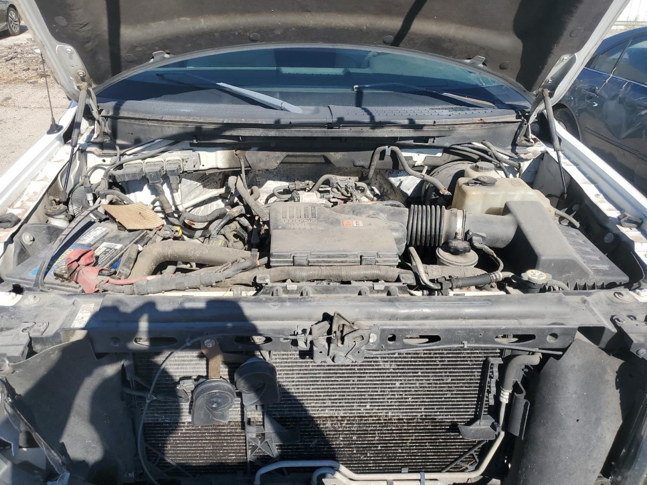 2010 Ford F150 VIN: 1FTMF1CWXAKC08544 Lot: 55576805