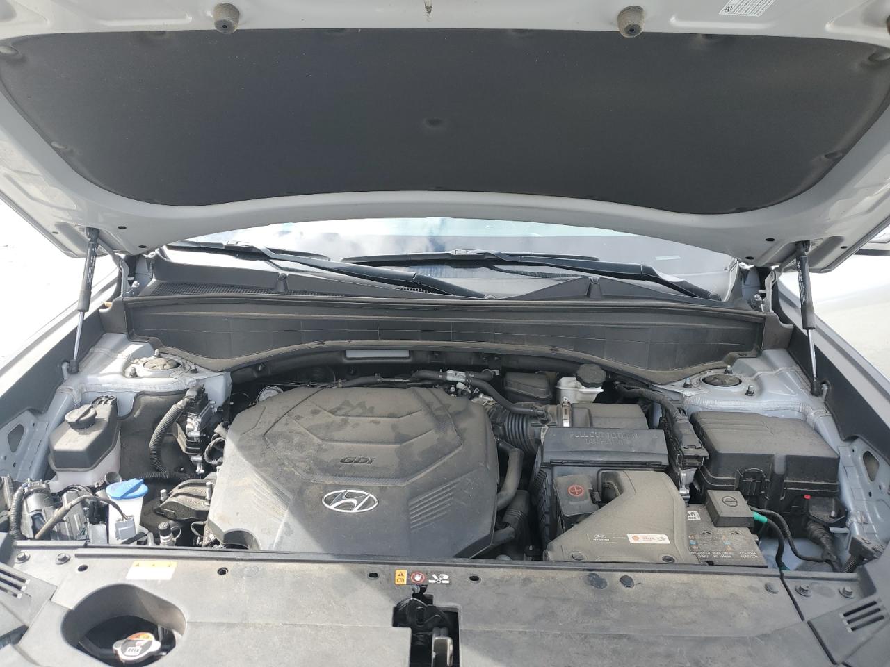 2024 Hyundai Palisade Sel VIN: KM8R24GE0RU669462 Lot: 82249235