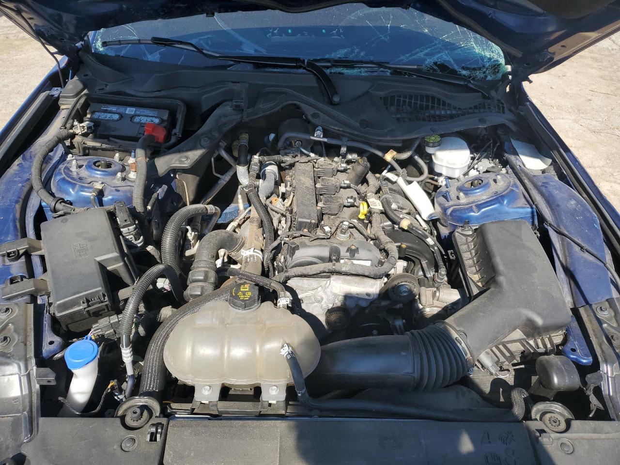 2022 Ford Mustang VIN: 1FA6P8TH6N5126028 Lot: 86487775