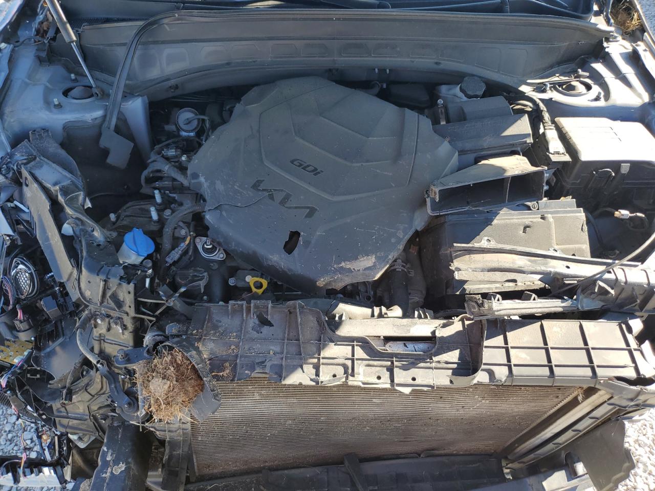 2022 Kia Telluride Sx VIN: 5XYP5DHC1NG207925 Lot: 87239055