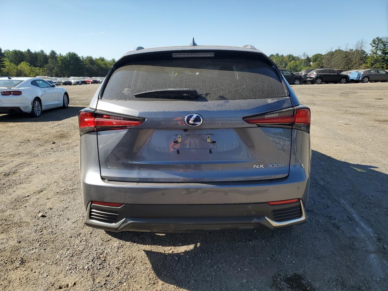 2021 Lexus Nx 300H Base VIN: JTJDJRDZXM2162365 Lot: 83952305