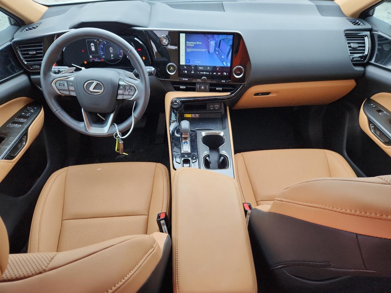 2025 Lexus Nx 250 Base VIN: 2T2ADCAZ9SC024907 Lot: 85506955